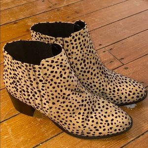 Cheetah booties